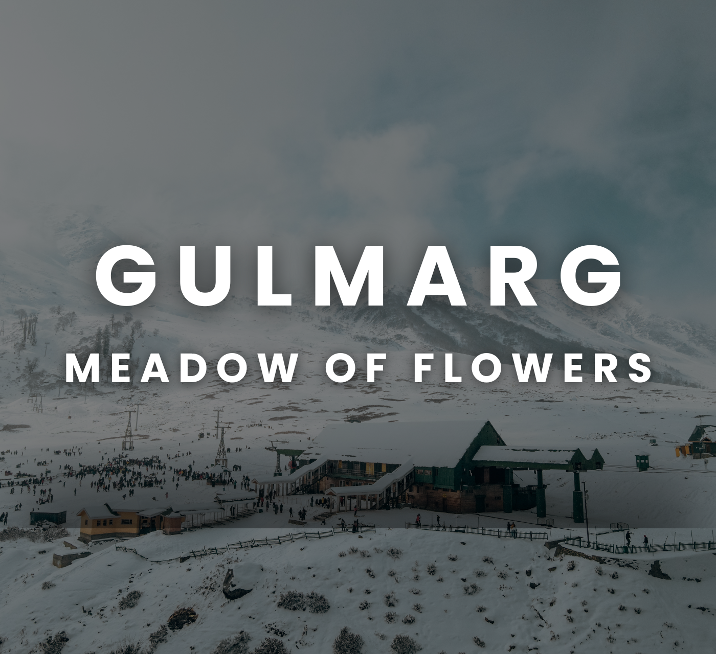 Gulmarg - Meadow Of Flowers