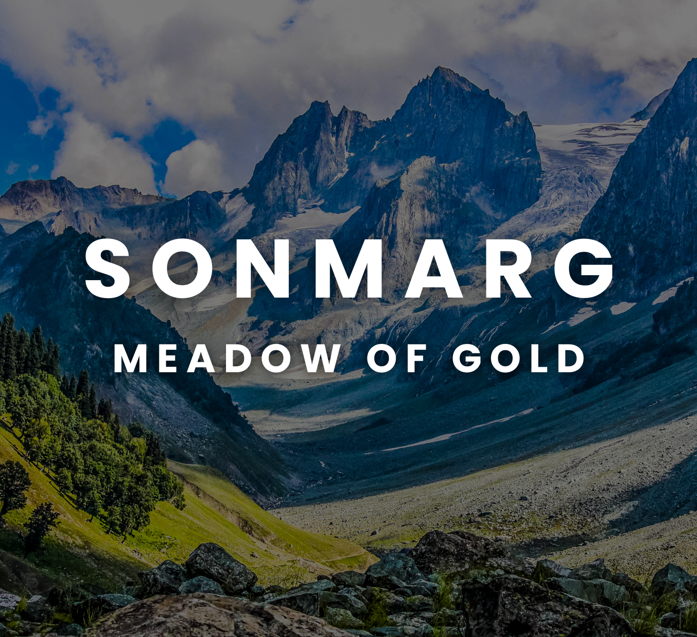 Sonmarg - Meadow Of Gold