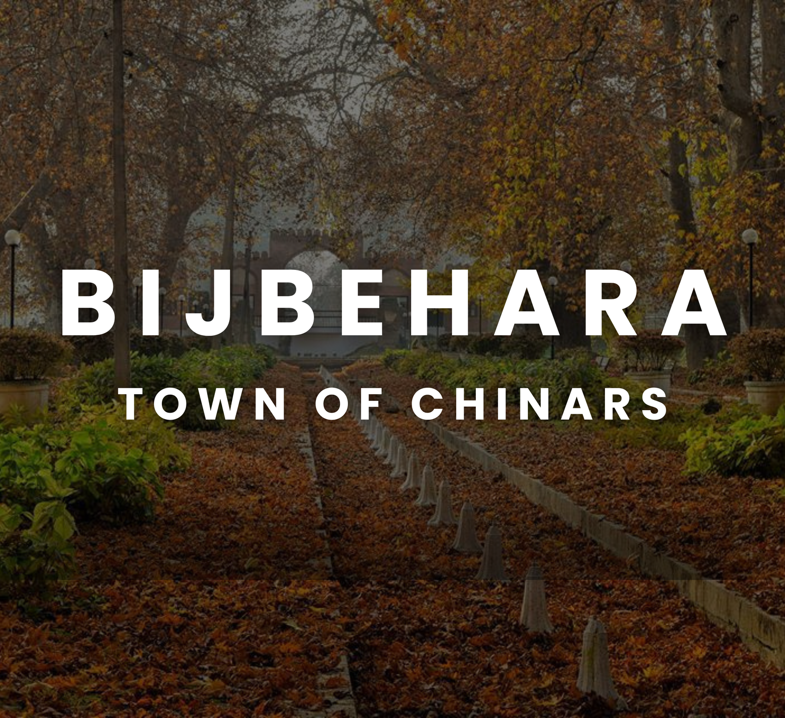 Bijbehara - Town of Chinars