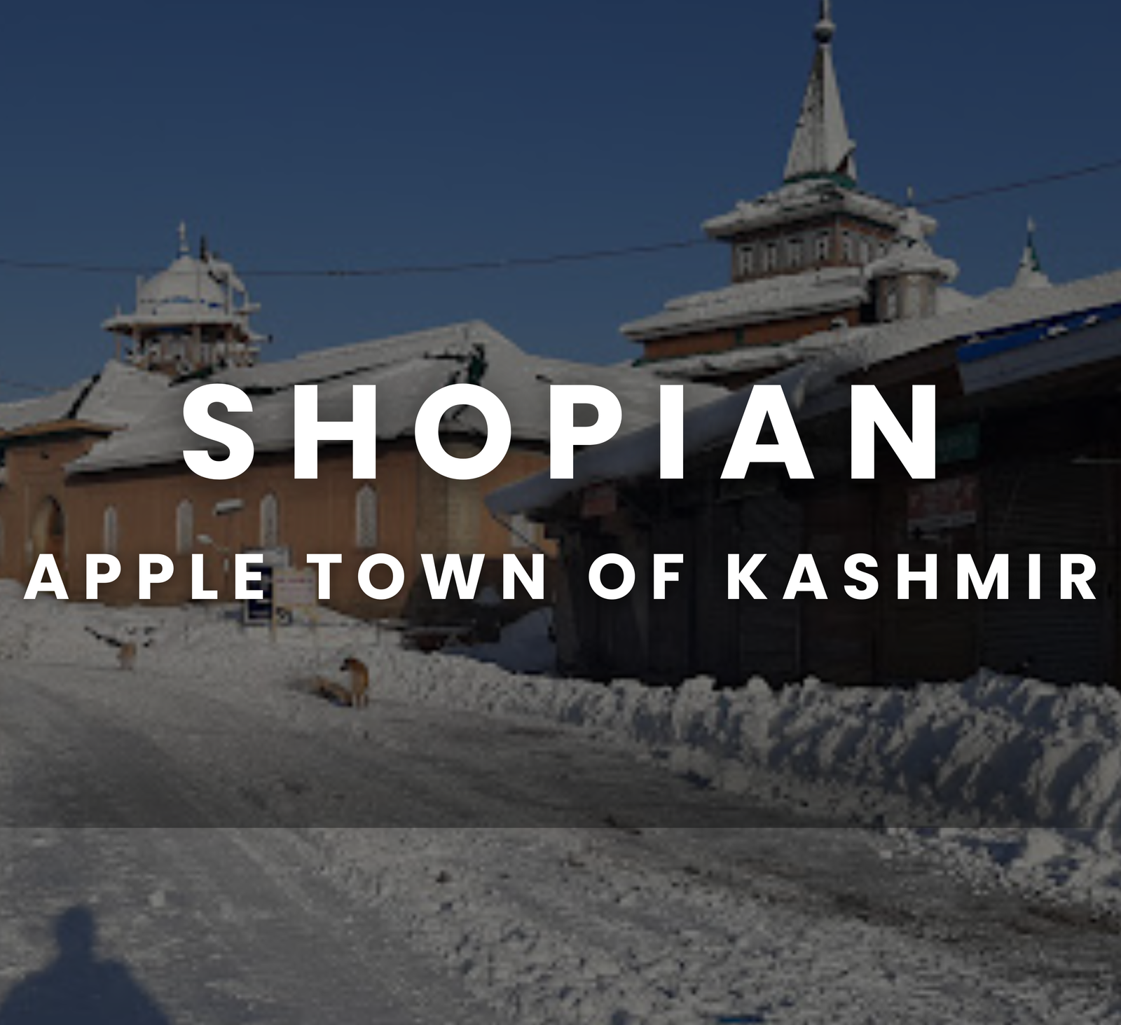 Shopian - Apple Town of Kashmir